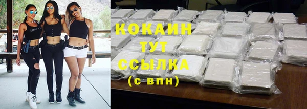 крисы Бронницы