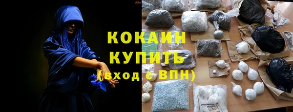 крисы Бронницы