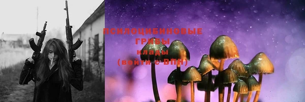 крисы Бронницы