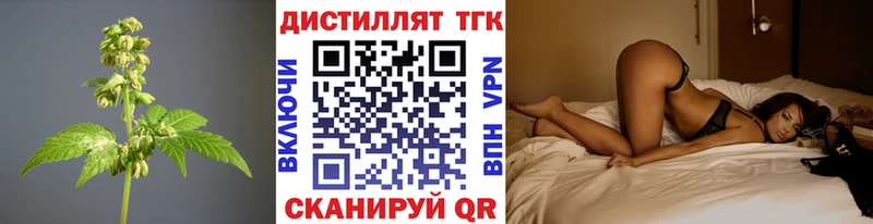 Купить где  Игарка  Дистиллят ТГК вейп 