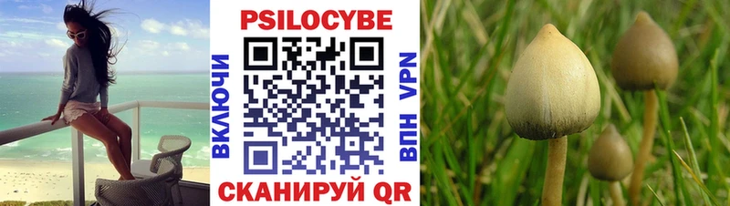 Галлюциногенные грибы GOLDEN TEACHER  Купить где  Игарка 